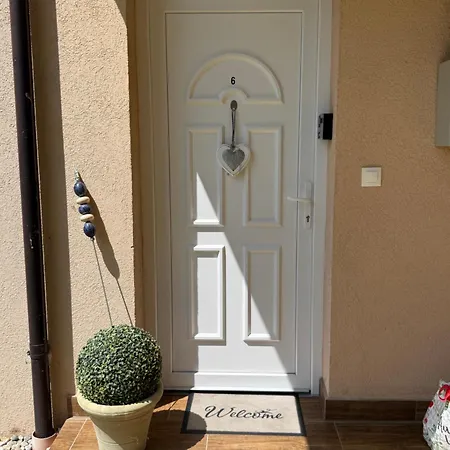 Zen Sunshine * Zamárdi